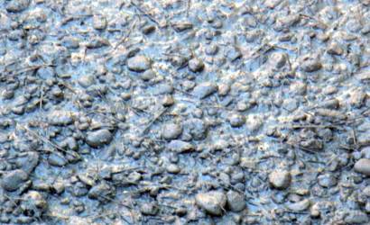 Szegedi villamospálya sikere