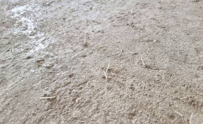 Mindenszentek-templom, Baracska, aljzatbeton felújítása